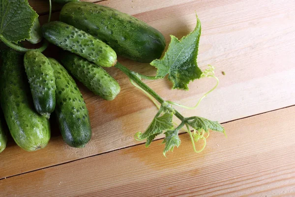 Pepinos Mesa Estilo País — Fotografia de Stock