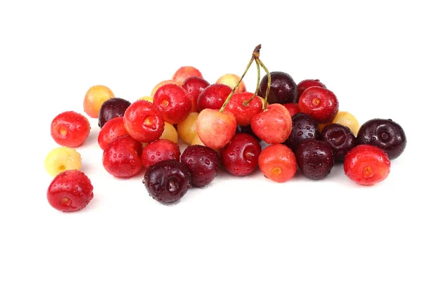 Cerises Isolées Sur Fond Blanc — Photo