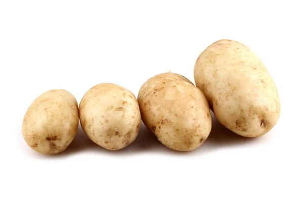 Збираємо Крупним Планом Картоплю — стокове фото