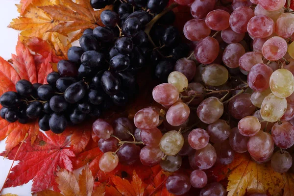 Bunch Fresh Grapes Autumn Leaves Isolated White — Stock Photo, Image
