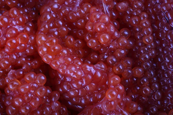 Fundal Caviar Roșu Nefiert — Fotografie, imagine de stoc