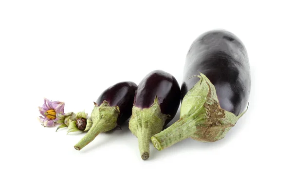 Eggplants Isolated White — Stock Photo, Image