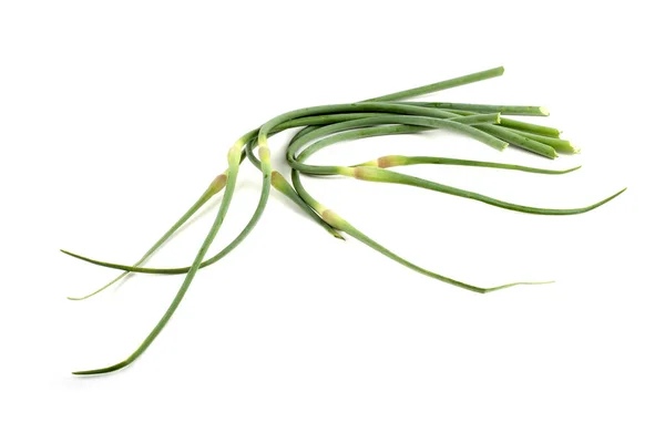 Knoflookpijlen Geïsoleerd Wit Verre Oosten Keuken Gebruik Deze Plant — Stockfoto