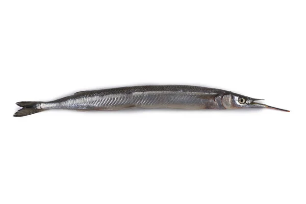 Garfish Isolado Branco — Fotografia de Stock