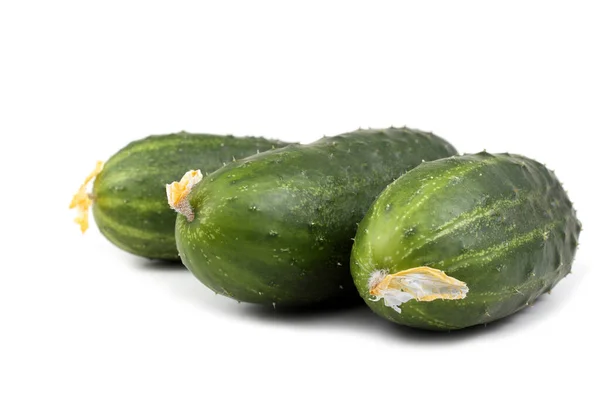 Cucumbers White Background — Stock Photo, Image