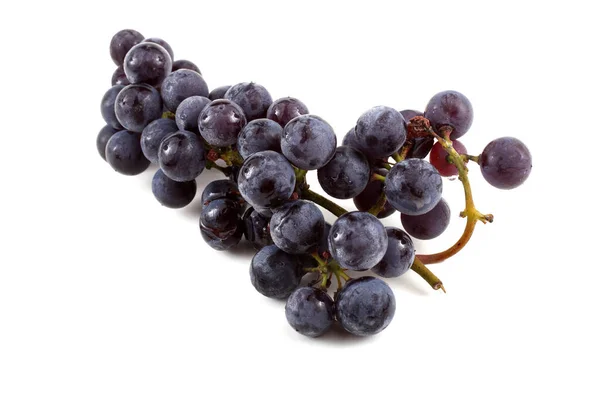 Black Wine Grape Isolated White — Stock Photo, Image