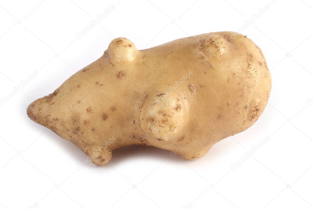Funny ugly potato isolated on white