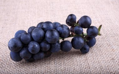 Poşetleme üstüne üzüm. Şarap çeşidi.