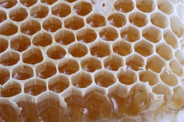 taze ve lezzetli bal peteği