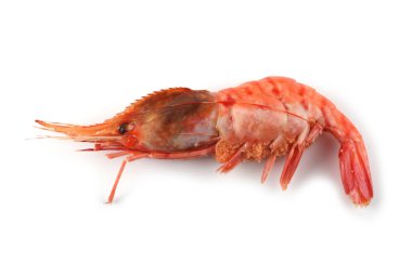 Büyük karidesler beyaz karideslerde