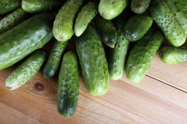 Salatalıklar masaya. Ülke biçimi