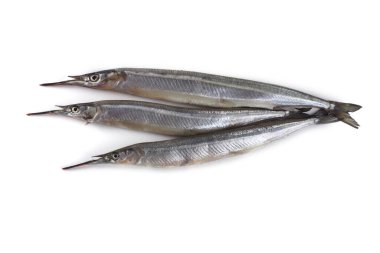 Garfish beyazda izole edilmiş.
