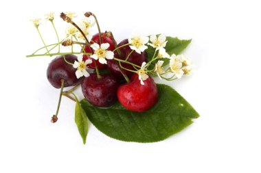 beyaz arkaplanda izole kirazlar