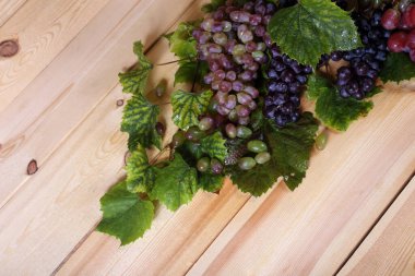 Masada üzüm var. Ülke biçimi