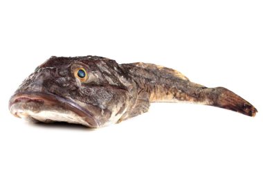 Goby balık portresi beyaz üzerinde izole (sade heykel, Myoxocephalus jaok)