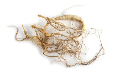 ginseng beyaz arkaplanda izole edildi