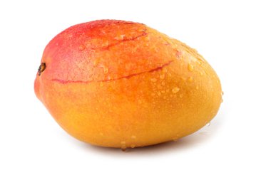 Mango beyaz üzerine izole