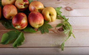 Nektarinler masada. Ülke biçimi
