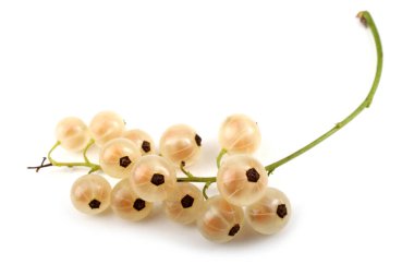 Olgun taze frenk üzümü hasadına yakın.