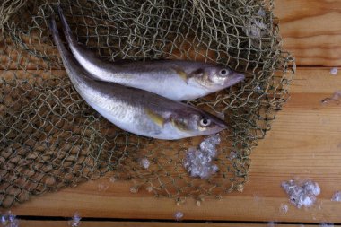 İnternette safran morina balığı