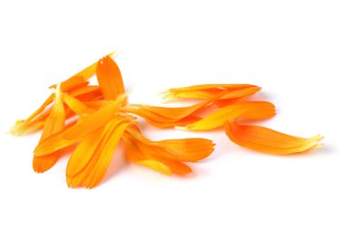 Takvim yaprakları beyaza izole edilmiş