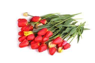 İnanılmaz çiçeklere yakın.