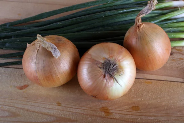 Uien Tafel Landelijke Stijl — Stockfoto