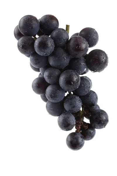 Raisin Vin Isolé Sur Blanc — Photo