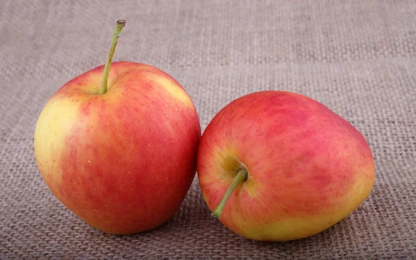 Два Маленьких Красных Яблочка Упаковке — стоковое фото