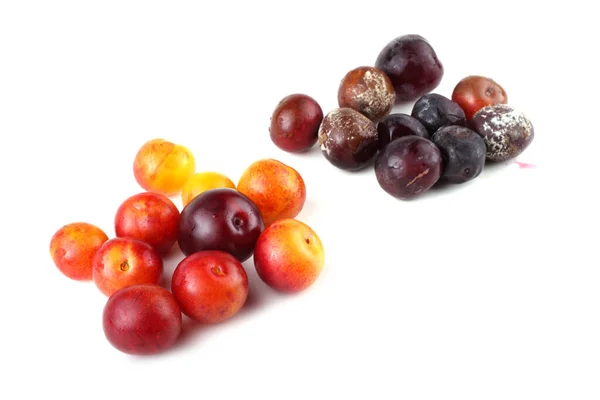 Plums Rotten Plums — Stock Photo, Image