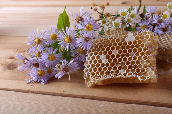 Frische Und Köstliche Bienenwaben — Stockfoto