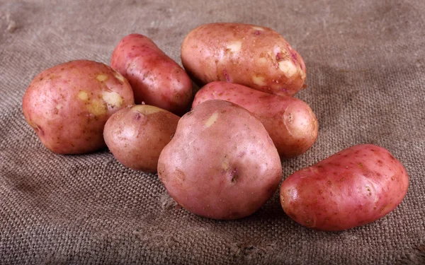 Fechar Colheita Batatas — Fotografia de Stock