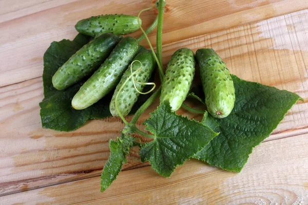 Cucumbers Table Country Style — Stock Photo, Image