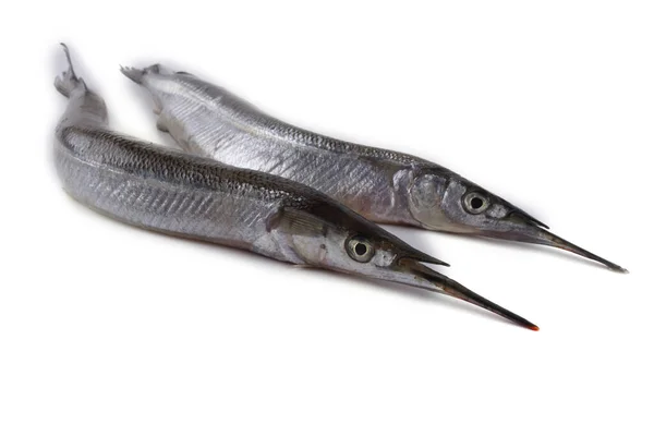 Garfish Isoliert Auf Weiß — Stockfoto