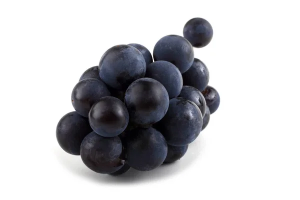 Wine Variety Red Grape — Stock Photo, Image