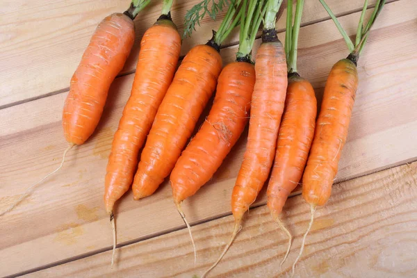 Primer Plano Zanahorias Frescas Maduras — Foto de Stock