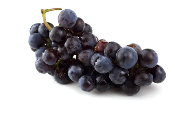 Wine Variety Red Grape — Stock Photo, Image