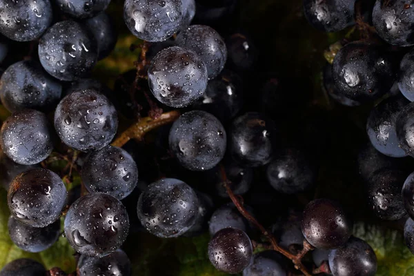 Svart Vindruva Bordet — Stockfoto