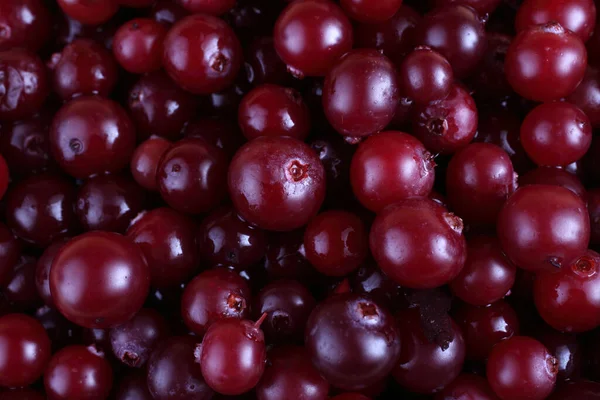 Tutup Dari Cranberry Asam Segar — Stok Foto