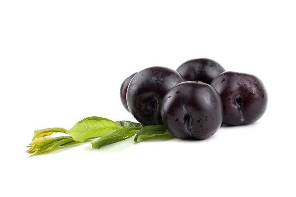 Ripe Fresh Plums Close View — Stock Photo, Image