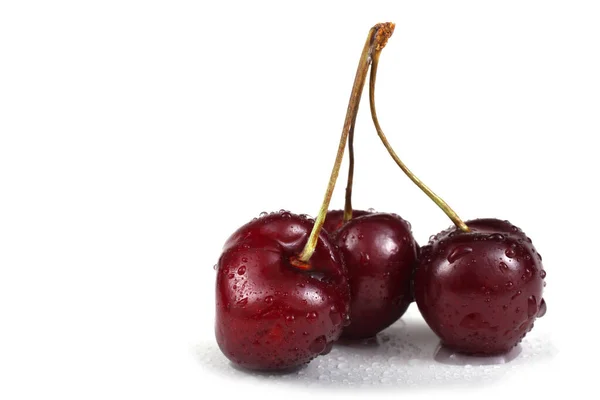 Cherries Isolated White Background — Stock Photo, Image