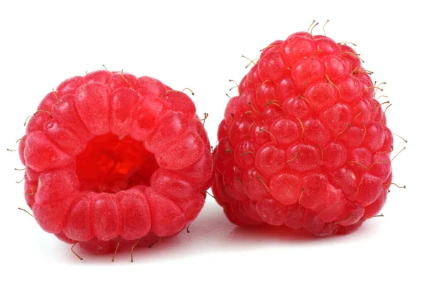 Frambuesas Orgánicas Frescas Sobre Fondo Blanco — Foto de Stock