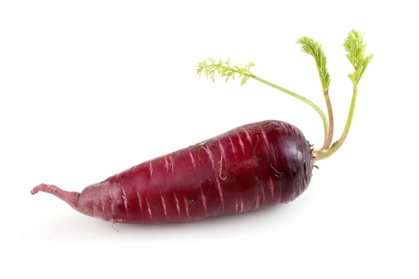 Червона Морква Ізольована Білому — стокове фото