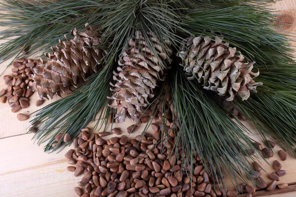 Cedar pine nuts on table