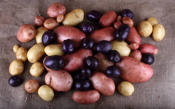 Fechar Colheita Batatas — Fotografia de Stock