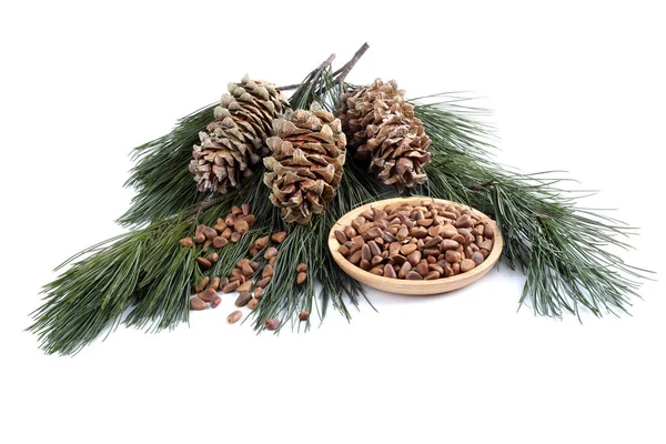 Cedar Pine Nuts Delicacy Stock Picture