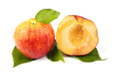 nektarin meyveleri beyaz arkaplanda izole