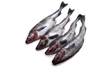 Beyaz arkaplanda Pollock