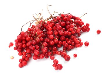 Schisandra Chinensis beyazı izole etti