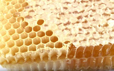 taze ve lezzetli bal peteği